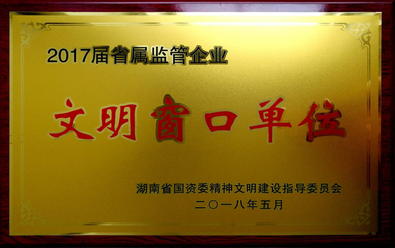 开云(中国大陆) Kaiyun·官方网站集团养老产业有限公司荣获“省属监管企业文明窗口单位”称号